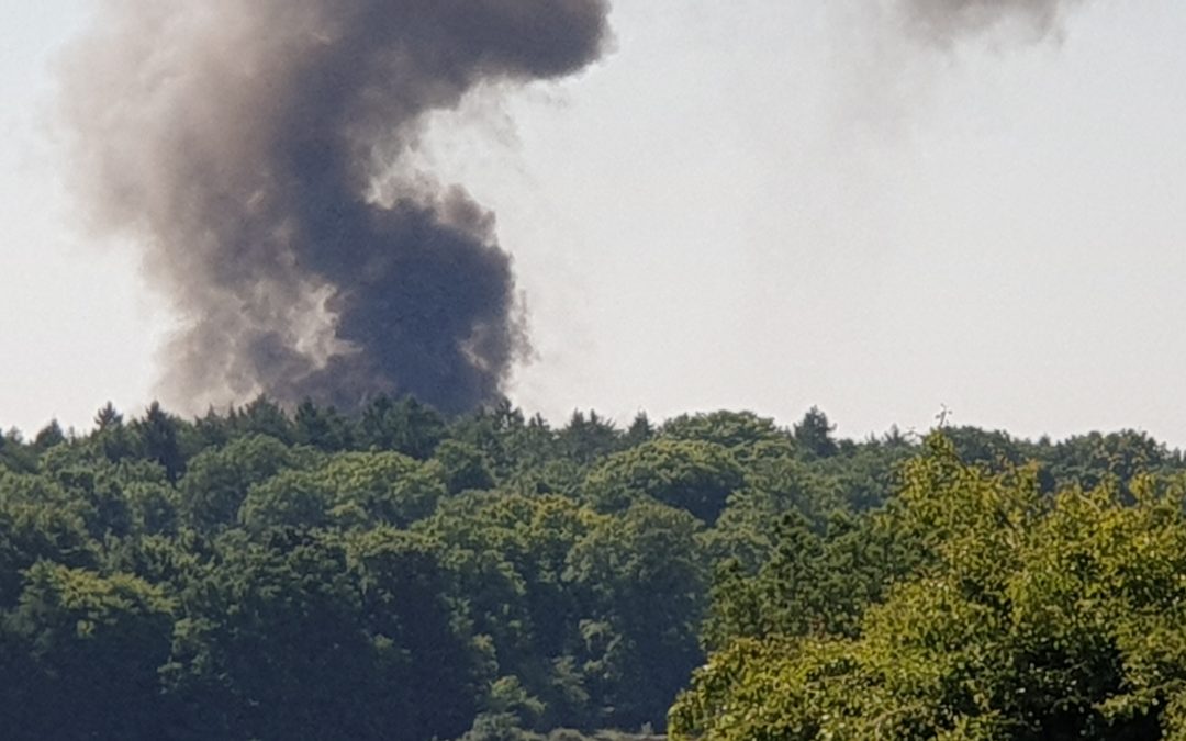 Fire at Puzzlewood, Forest of Dean